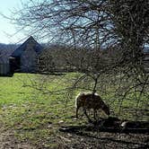 Review photo of Patapsco Valley State Park-Hilton Area by Teresa K., July 8, 2018