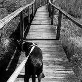 Review photo of Patapsco Valley State Park-Hilton Area by Teresa K., July 8, 2018