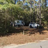 Review photo of Carolina Beach State Park Campground by Gary G., November 28, 2021