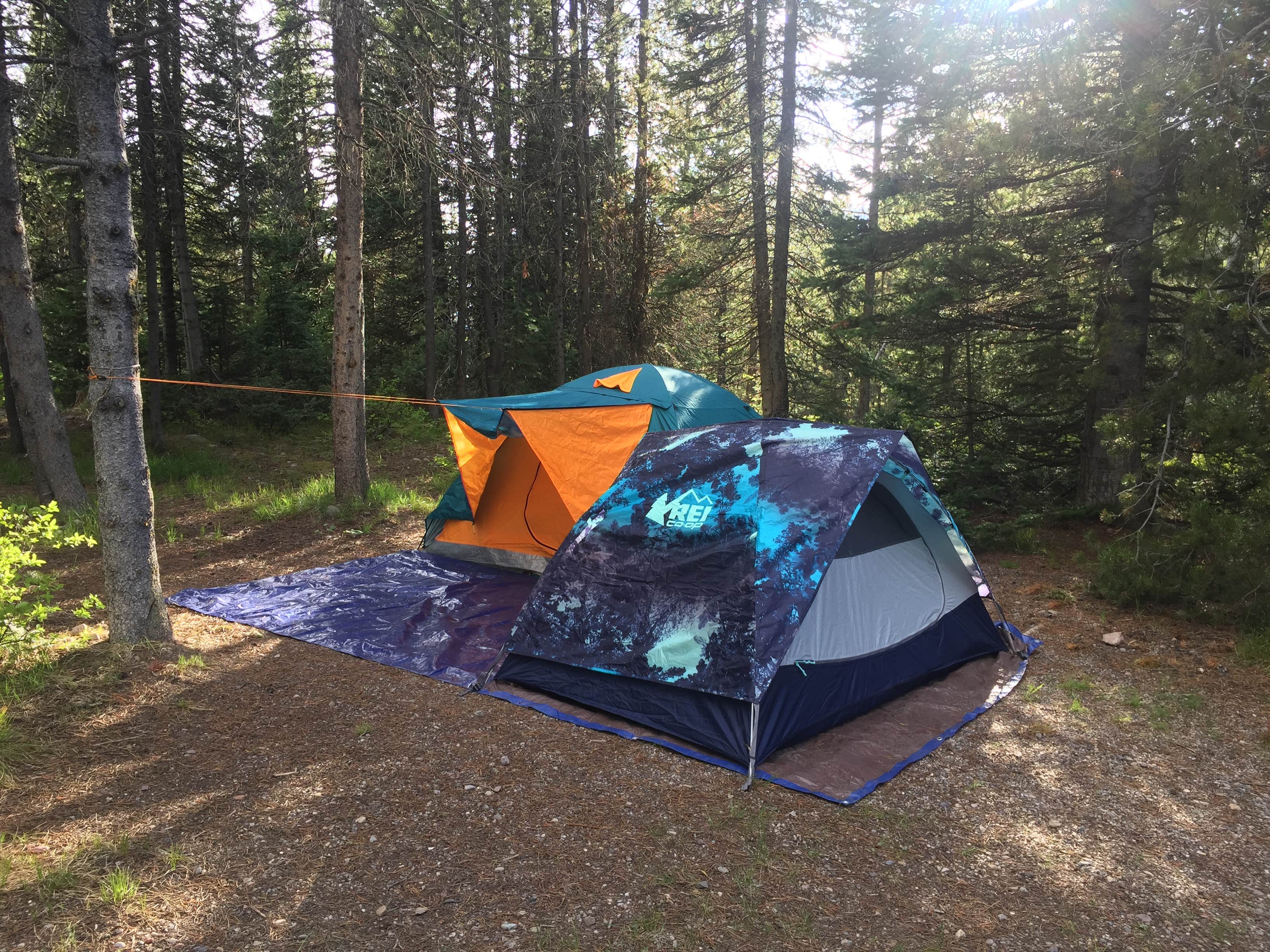 Jessica R.'s photo of tent camping at Colter Bay Tent Village at Colter Bay Village — Grand Teton National Park near Tetonia, ID