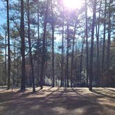 Review photo of Sesquicentennial State Park Campground by Jessica M., November 28, 2021