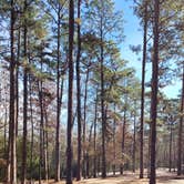 Review photo of Sesquicentennial State Park Campground by Jessica M., November 28, 2021