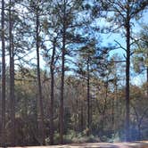 Review photo of Sesquicentennial State Park Campground by Jessica M., November 28, 2021