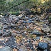 Review photo of Uvas Canyon County Park by kaela L., November 28, 2021