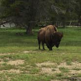 Review photo of Norris Campground — Yellowstone National Park - TEMPORARILY CLOSED by Jessica R., July 8, 2018