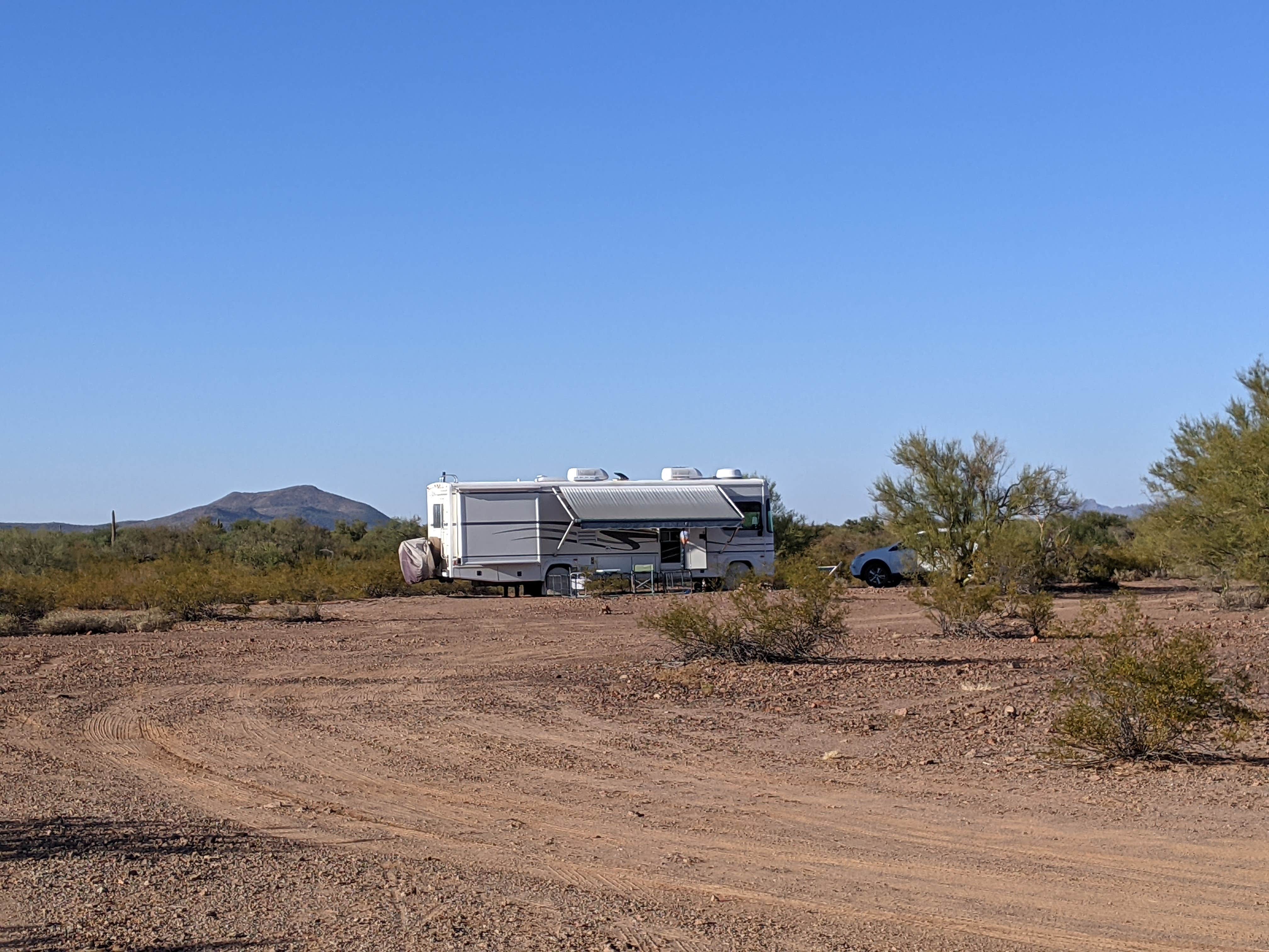 Camper submitted image from Ironwood Forest BLM National Monument Pump Station Dispersed - 4