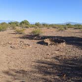 Review photo of Ironwood Forest BLM National Monument Pump Station Dispersed by Greg L., November 28, 2021