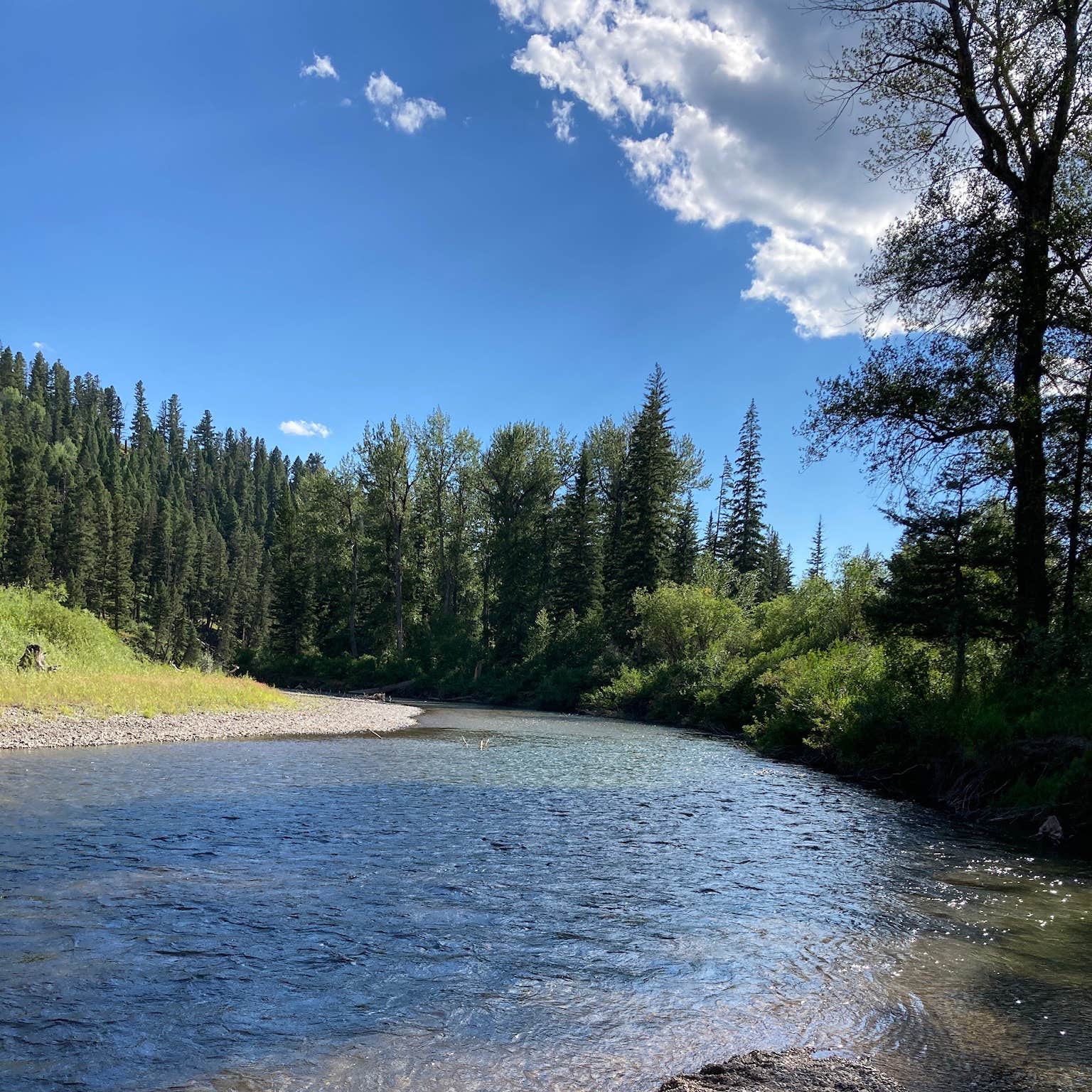 Little Blackfoot River Dispersed Campsite Elliston, MT