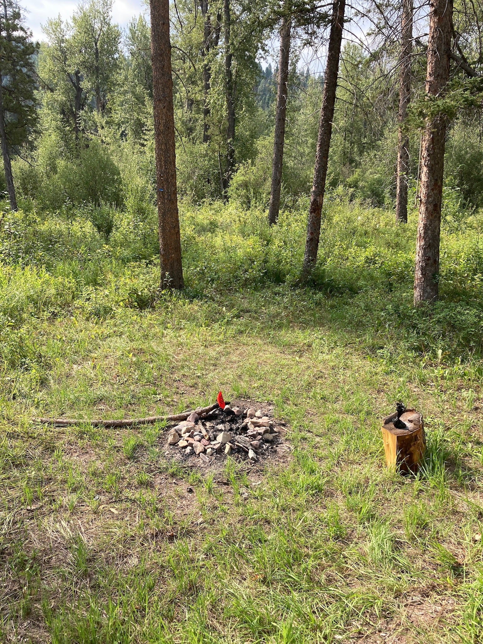 Camper submitted image from Little Blackfoot River Dispersed Campsite - 1