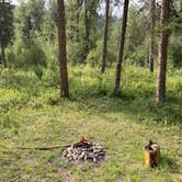 Review photo of Little Blackfoot River Dispersed Campsite by meredith , November 29, 2021