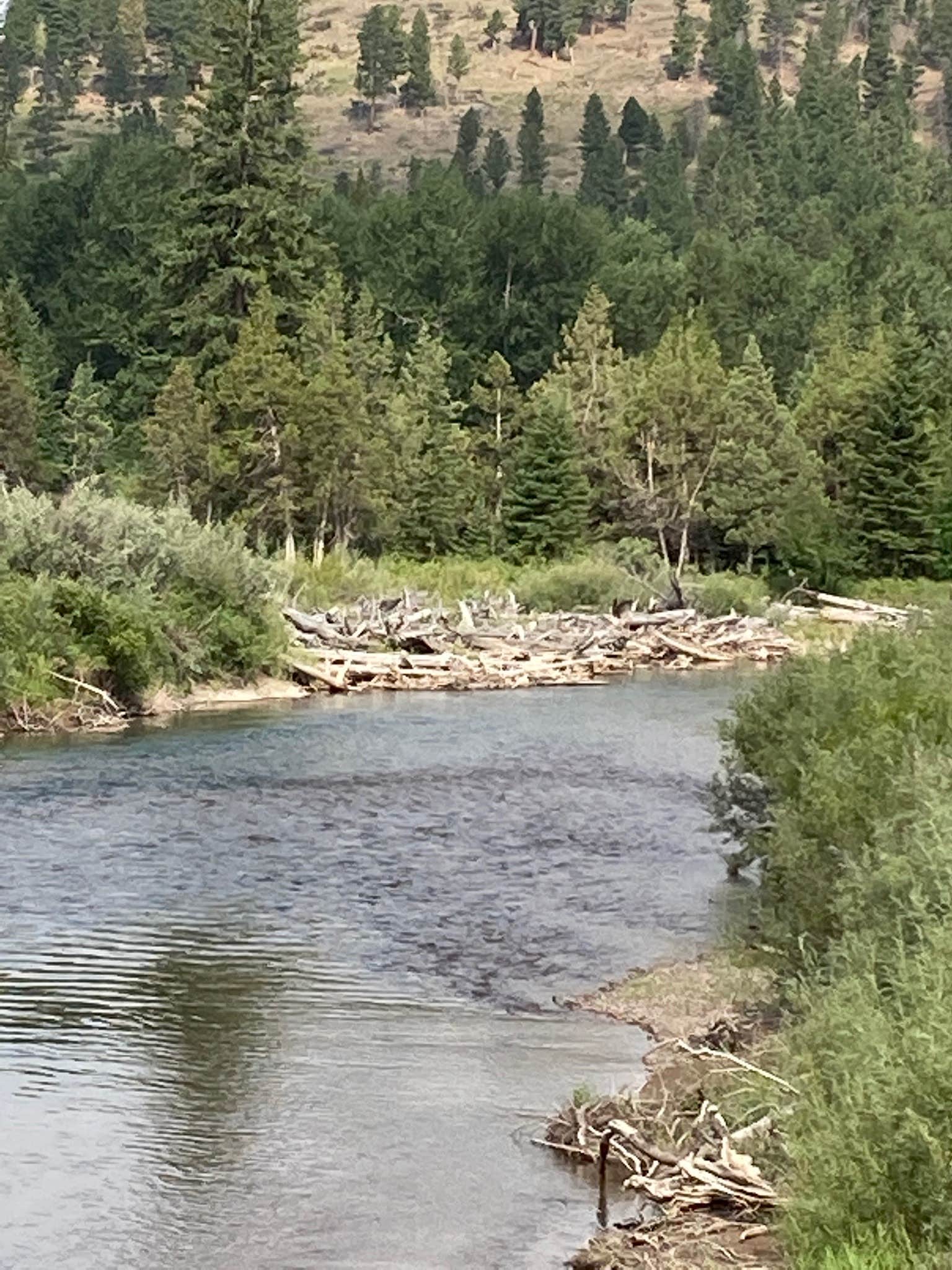 Camper-submitted photo at Little Blackfoot River Dispersed Campsite near Deer Lodge, MT