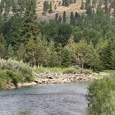 Review photo of Little Blackfoot River Dispersed Campsite by meredith , November 29, 2021