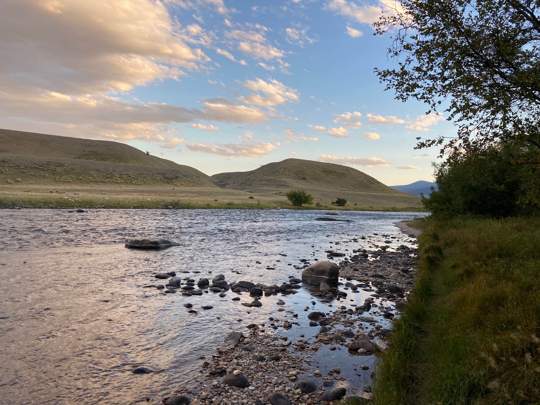 Camper submitted image from Ruby Creek Campground - 4