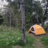 Review photo of Newport State Park Campground by Emily H., July 8, 2018