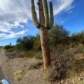 Review photo of Snyder Hill BLM Camping Area by Michele H., November 29, 2021