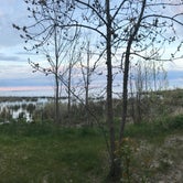 Review photo of Newport State Park Campground by Emily H., July 8, 2018