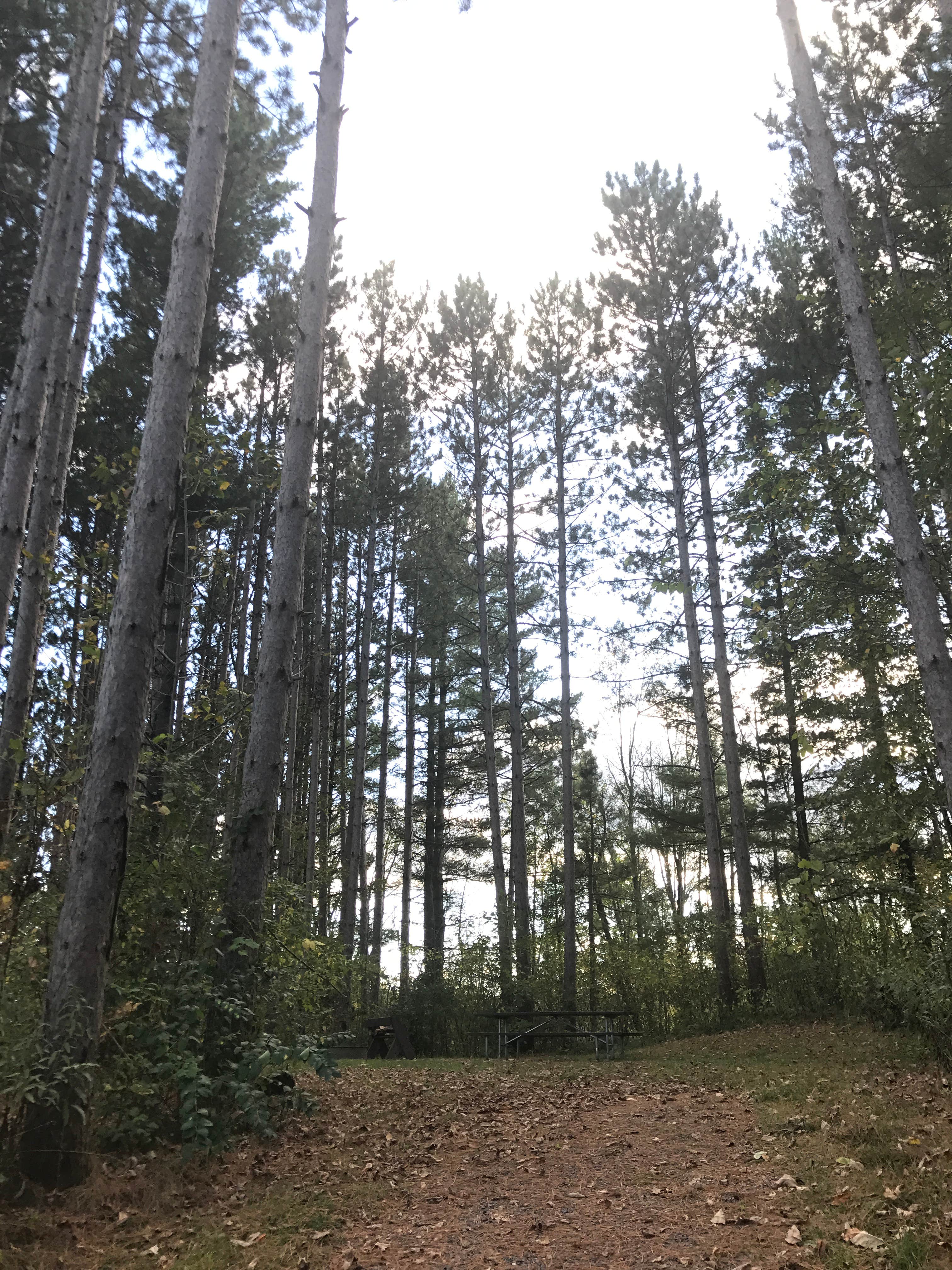 Camper-submitted photo at Wildcat Mountain State Park Campground near Newton, WI