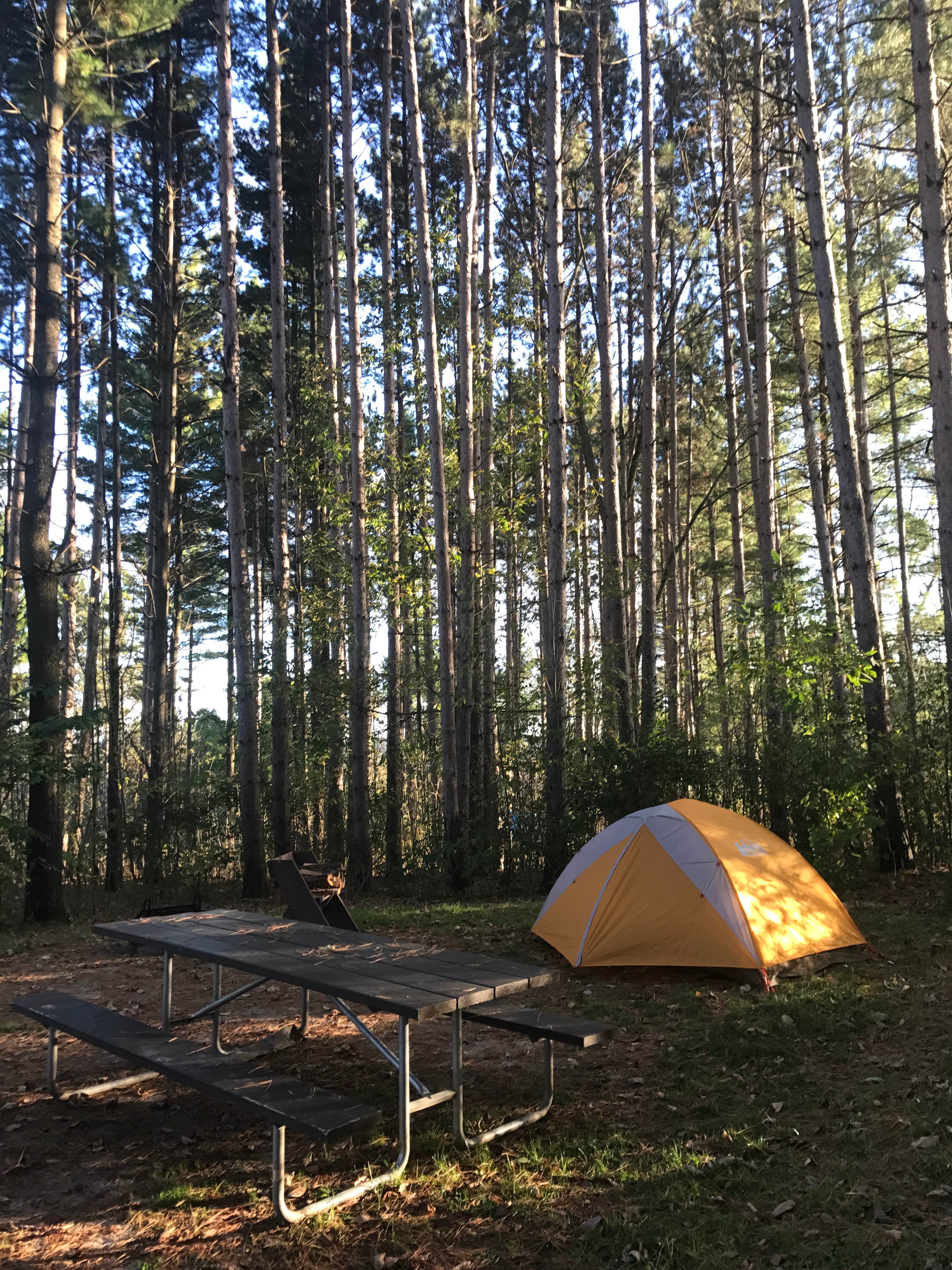 Emily H.'s photo at Wildcat Mountain State Park Campground near Camp Douglas, WI