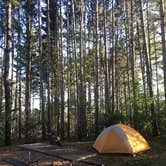 Review photo of Wildcat Mountain State Park Campground by Emily H., July 8, 2018