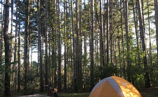 Emily H.'s photo at Wildcat Mountain State Park Campground near Sparta, WI