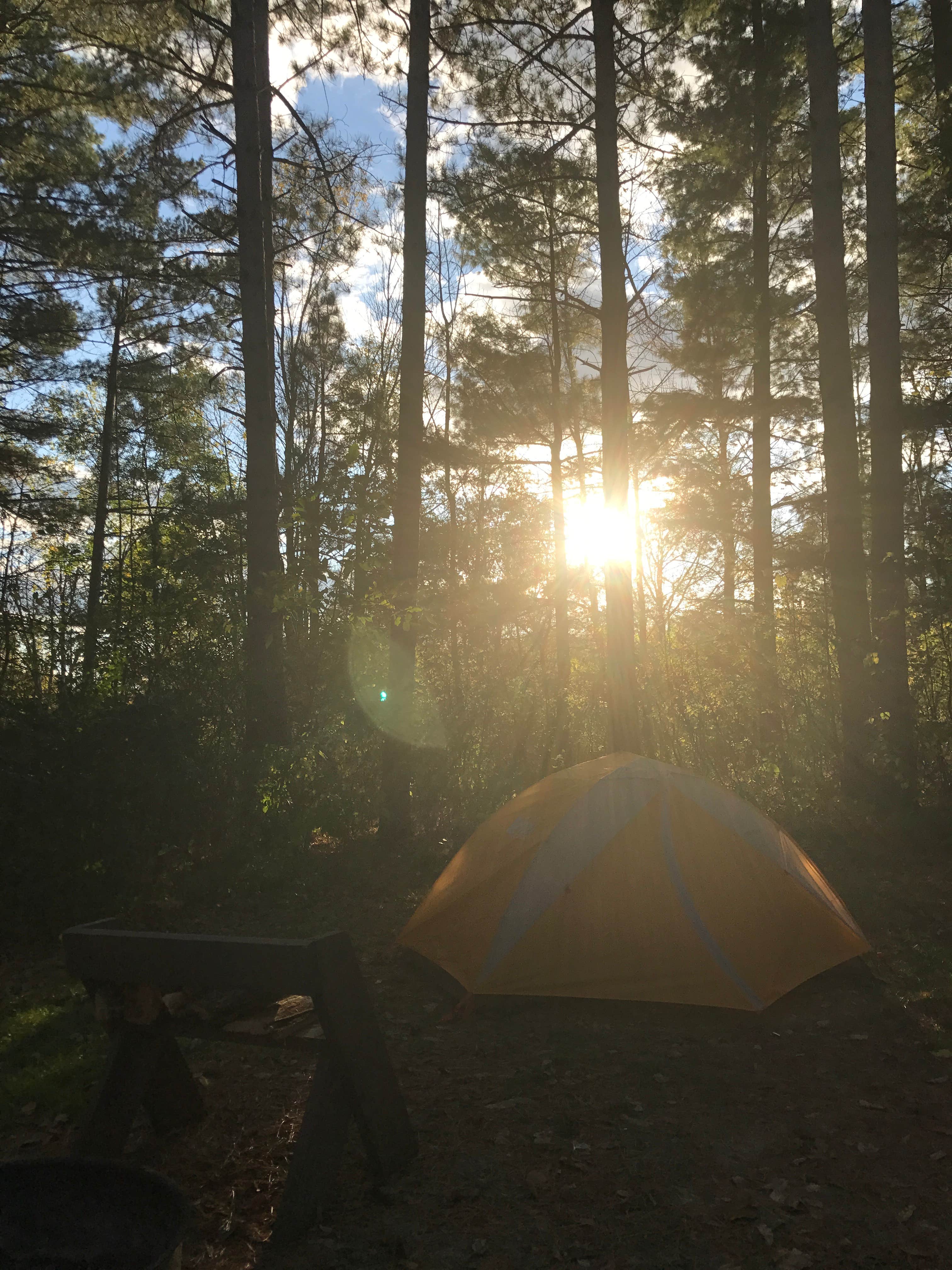 Emily H.'s photo at Wildcat Mountain State Park Campground near Viroqua, WI