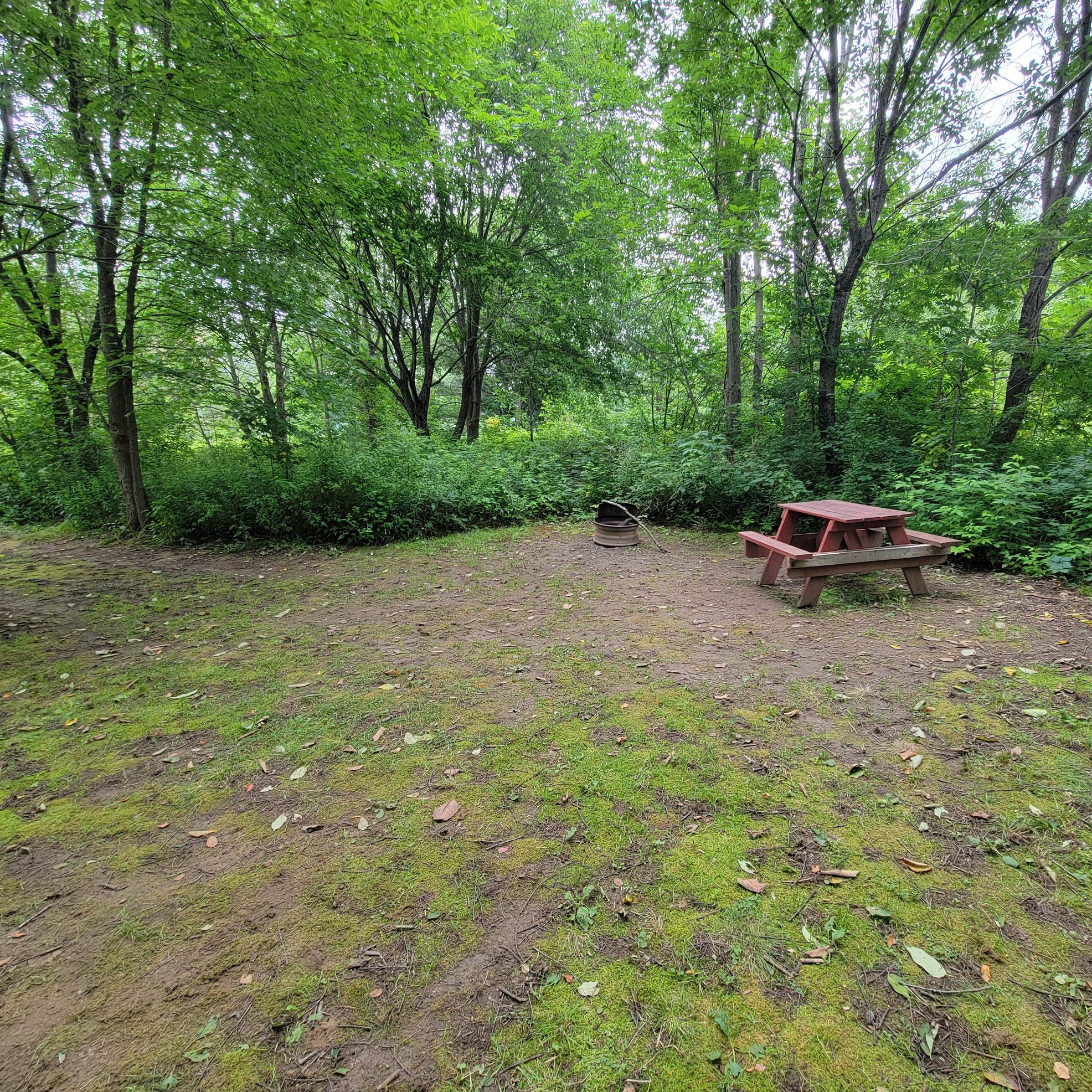 Bethel Outdoor Adventure and Campground Camping The Dyrt