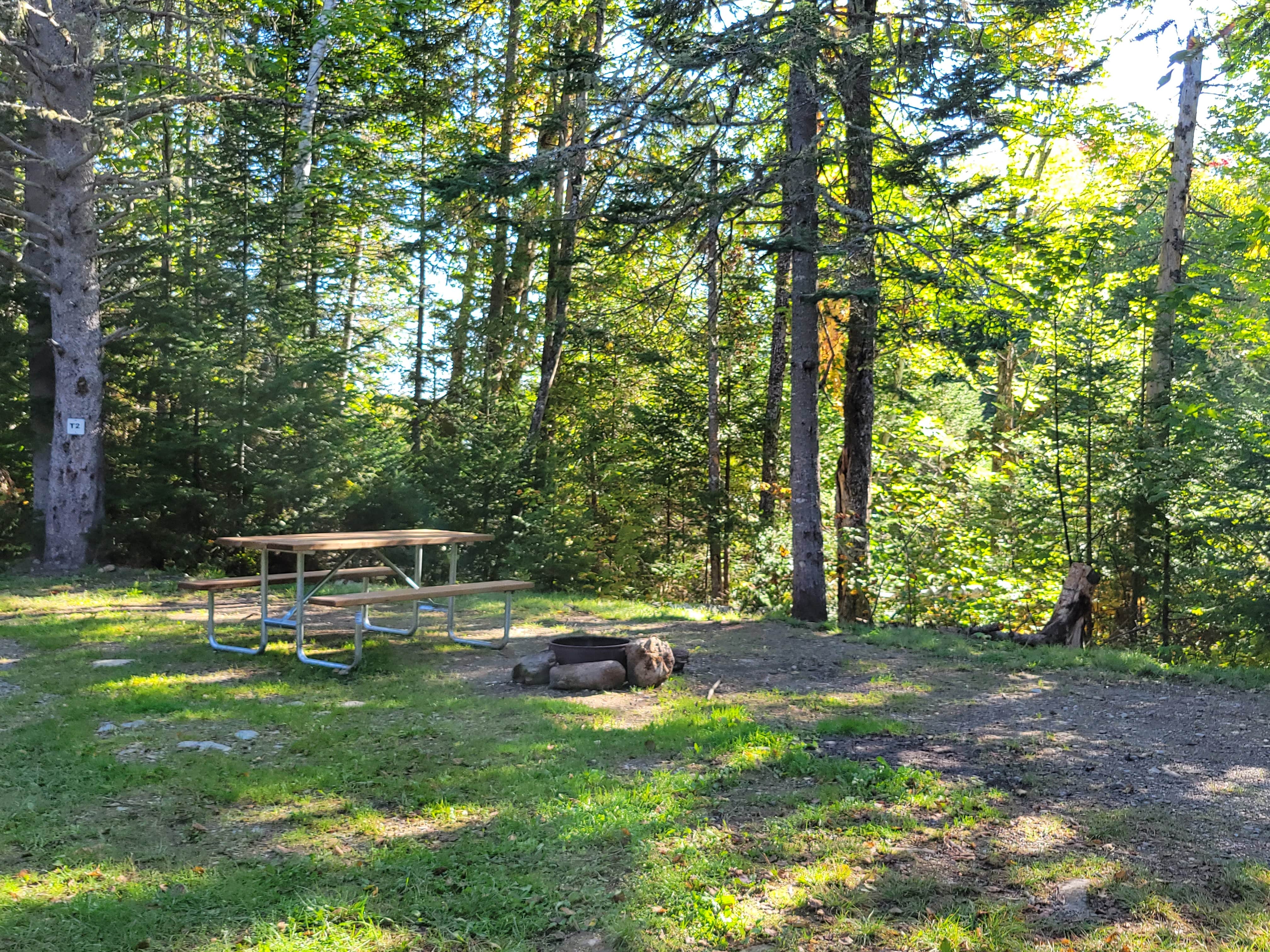 Camper submitted image from Shin Pond Village Campground - 4
