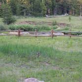 Review photo of Bighorn National Forest Tie Flume Campground by vanessa  G., July 8, 2018