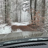 Review photo of Pine Grove State Forest Campground by Nicholas R., November 29, 2021