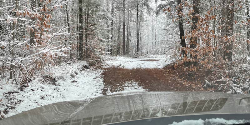 Camper submitted image from Pine Grove State Forest Campground