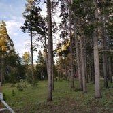 Review photo of Bighorn National Forest Tie Flume Campground by vanessa  G., July 8, 2018