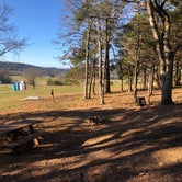 Review photo of The Farm - Campground & Events by Brian T., November 29, 2021