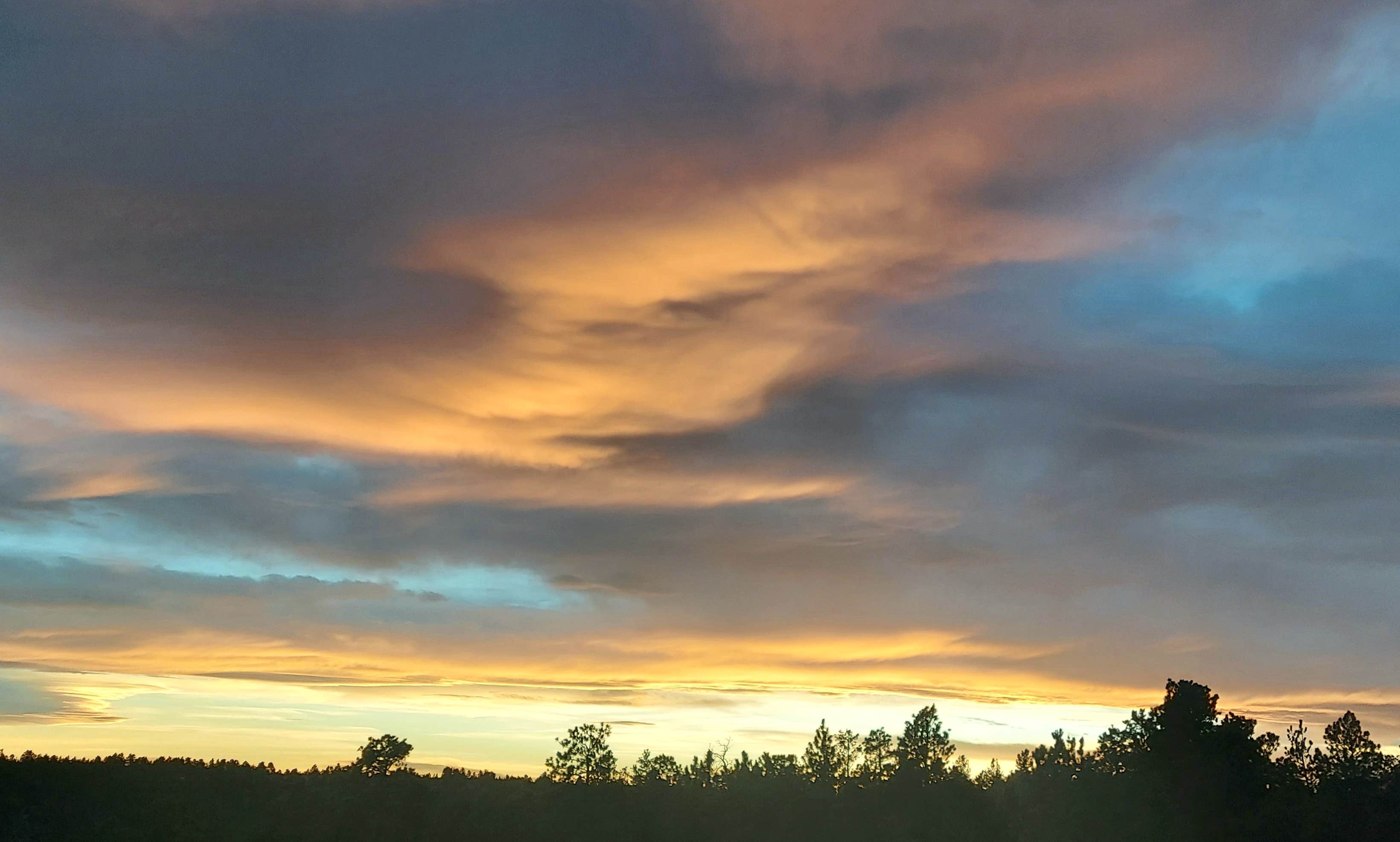 vicki's photo of a dispersed camping area at Acton Recreation Area near Acton, MT
