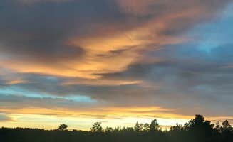 vicki's photo of a dispersed camping area at Acton Recreation Area near Laurel, MT