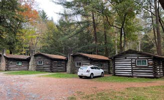 Lee D.'s photo of a cabin at Clear Creek State Park Campground near Weedville, PA