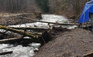 Darren N.'s photo at Brown Creek Campground near Olympic National Forest