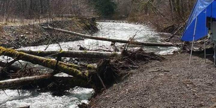 Camper submitted image from Brown Creek Campground