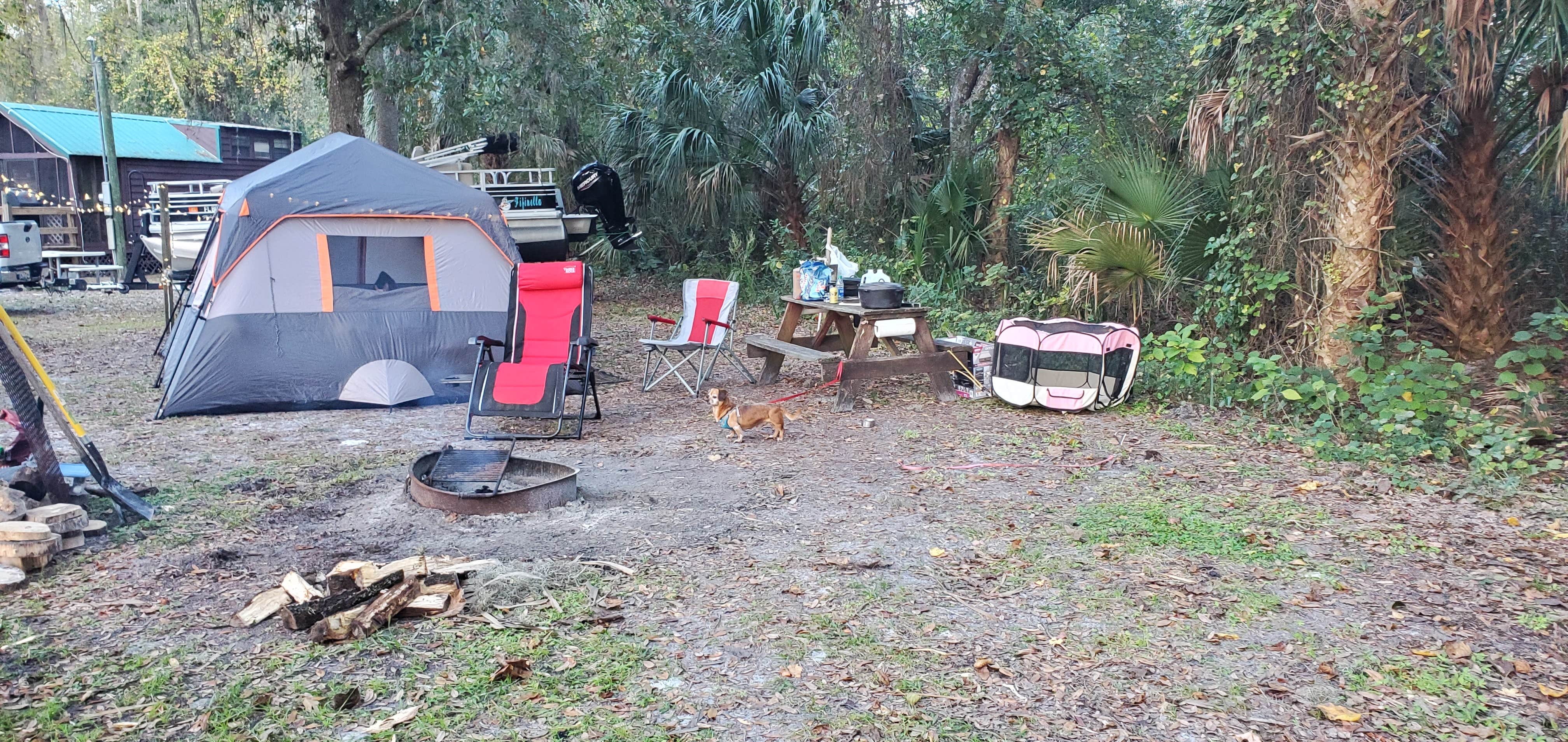 Camper-submitted photo at St Johns River Campground near Astor, FL