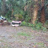 Review photo of St Johns River Campground by Nathan H., November 29, 2021