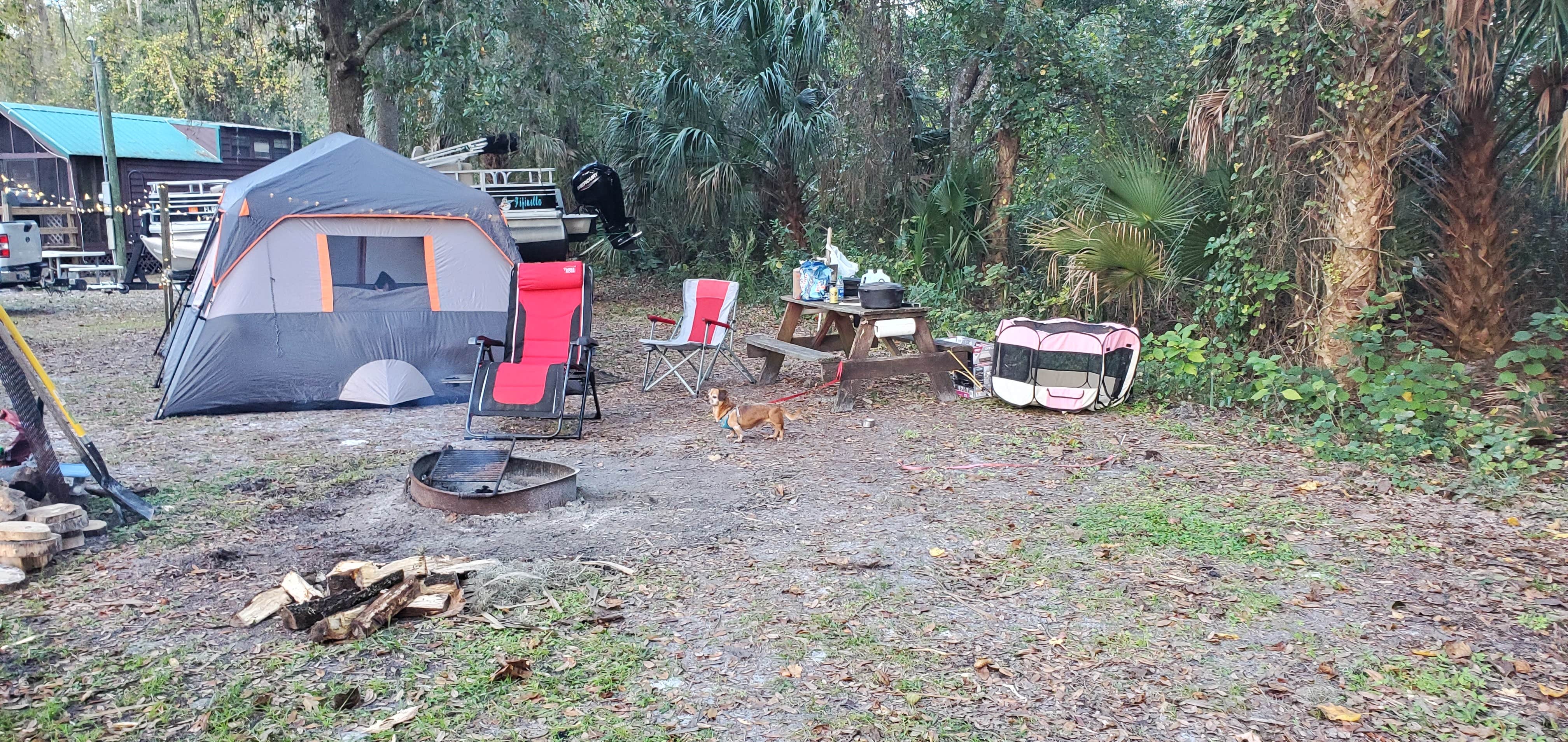 Camper submitted image from St Johns River Campground - 3