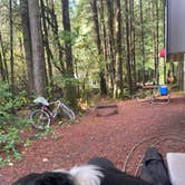 Review photo of Thousand Trails South Jetty by Pamela H., November 29, 2021