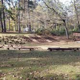 Review photo of Boles Field Campground by Mimi , November 29, 2021