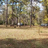 Review photo of Boles Field Campground by Mimi , November 29, 2021
