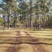 Review photo of Boles Field Campground by Mimi , November 29, 2021