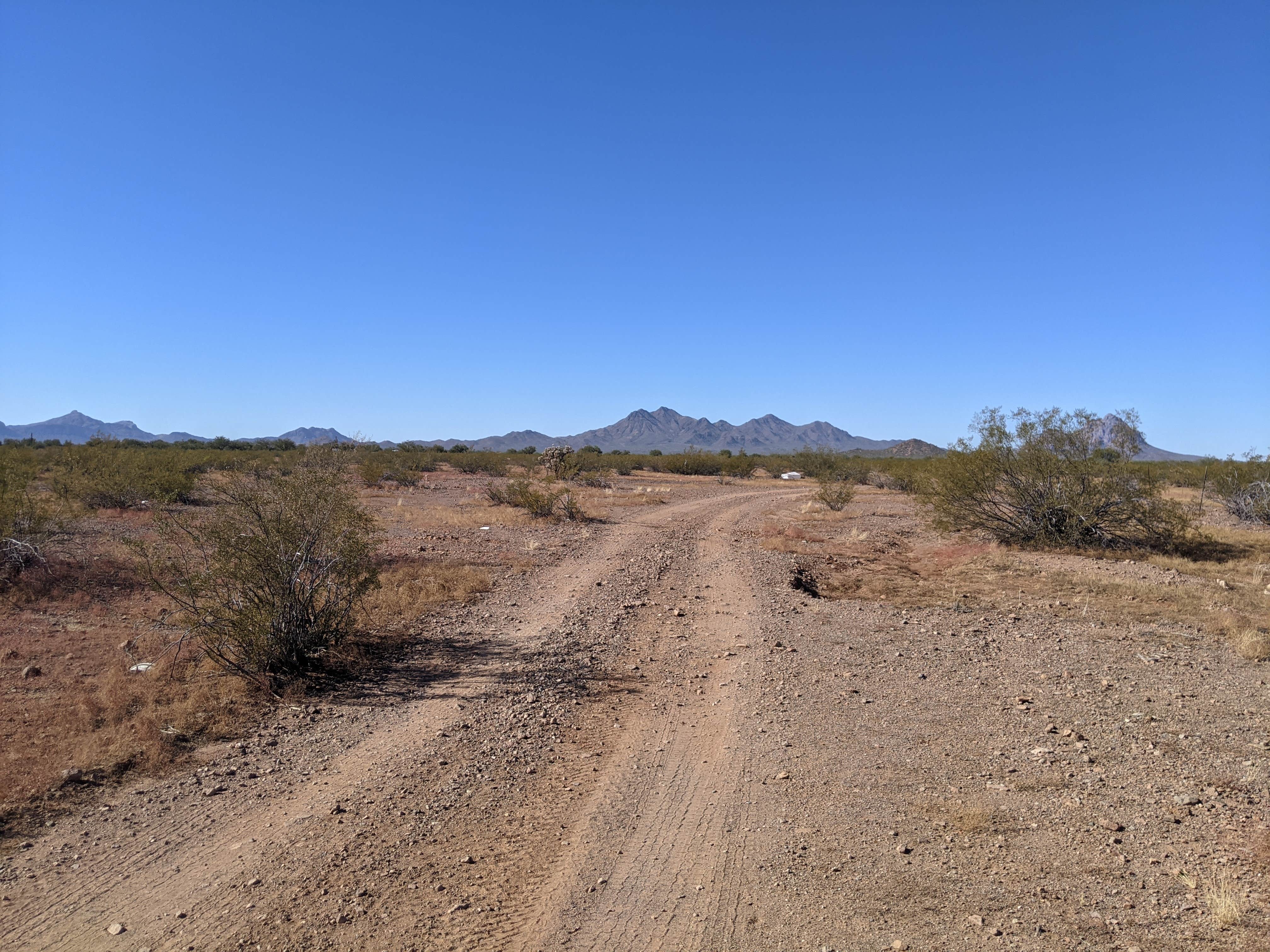 Camper submitted image from AZ State Land North Pump Station Road Dispersed - 3