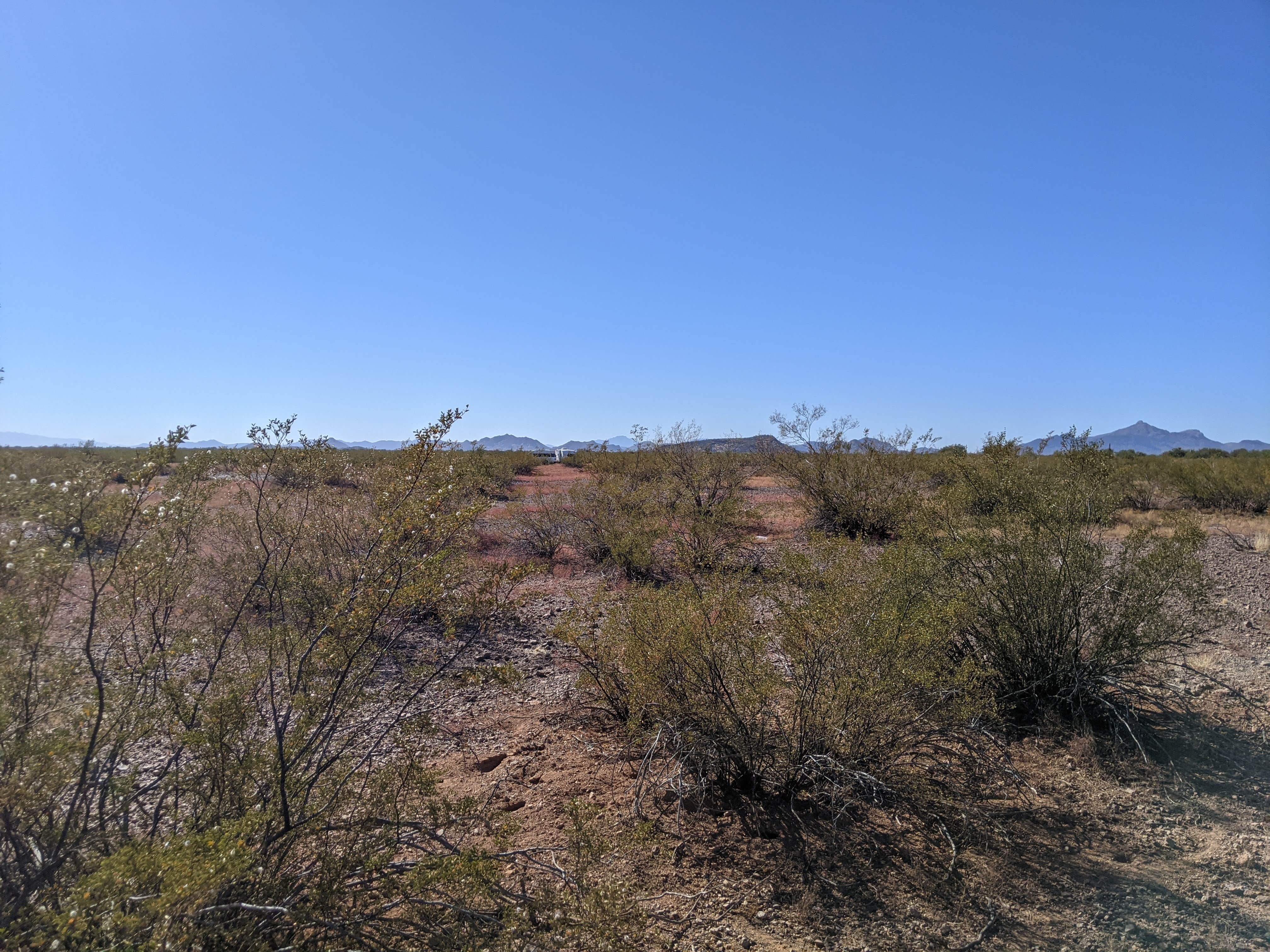 Camper submitted image from AZ State Land North Pump Station Road Dispersed - 5