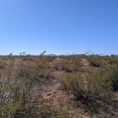 Review photo of AZ State Land North Pump Station Road Dispersed by Greg L., November 29, 2021