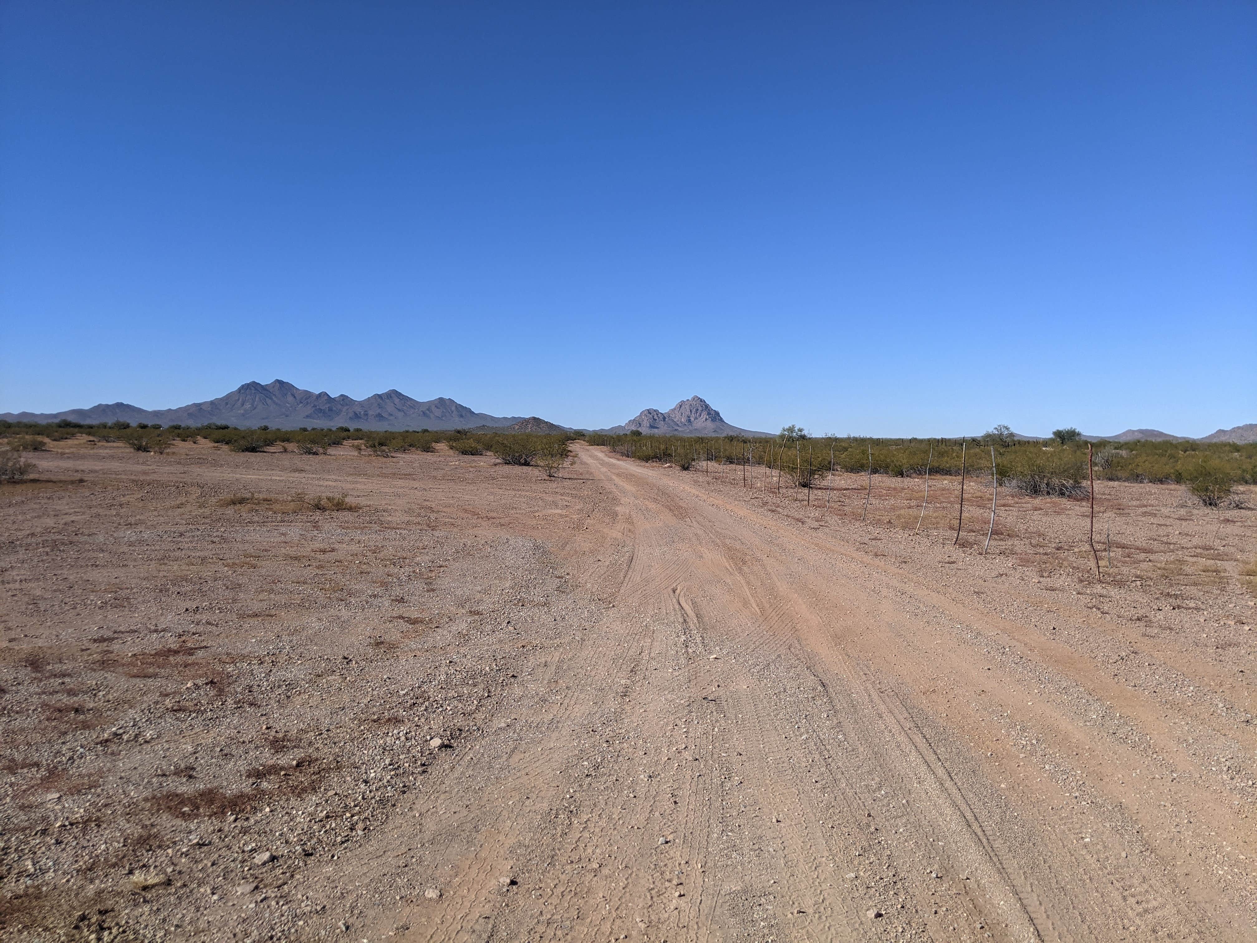 Camper submitted image from AZ State Land North Pump Station Road Dispersed - 2