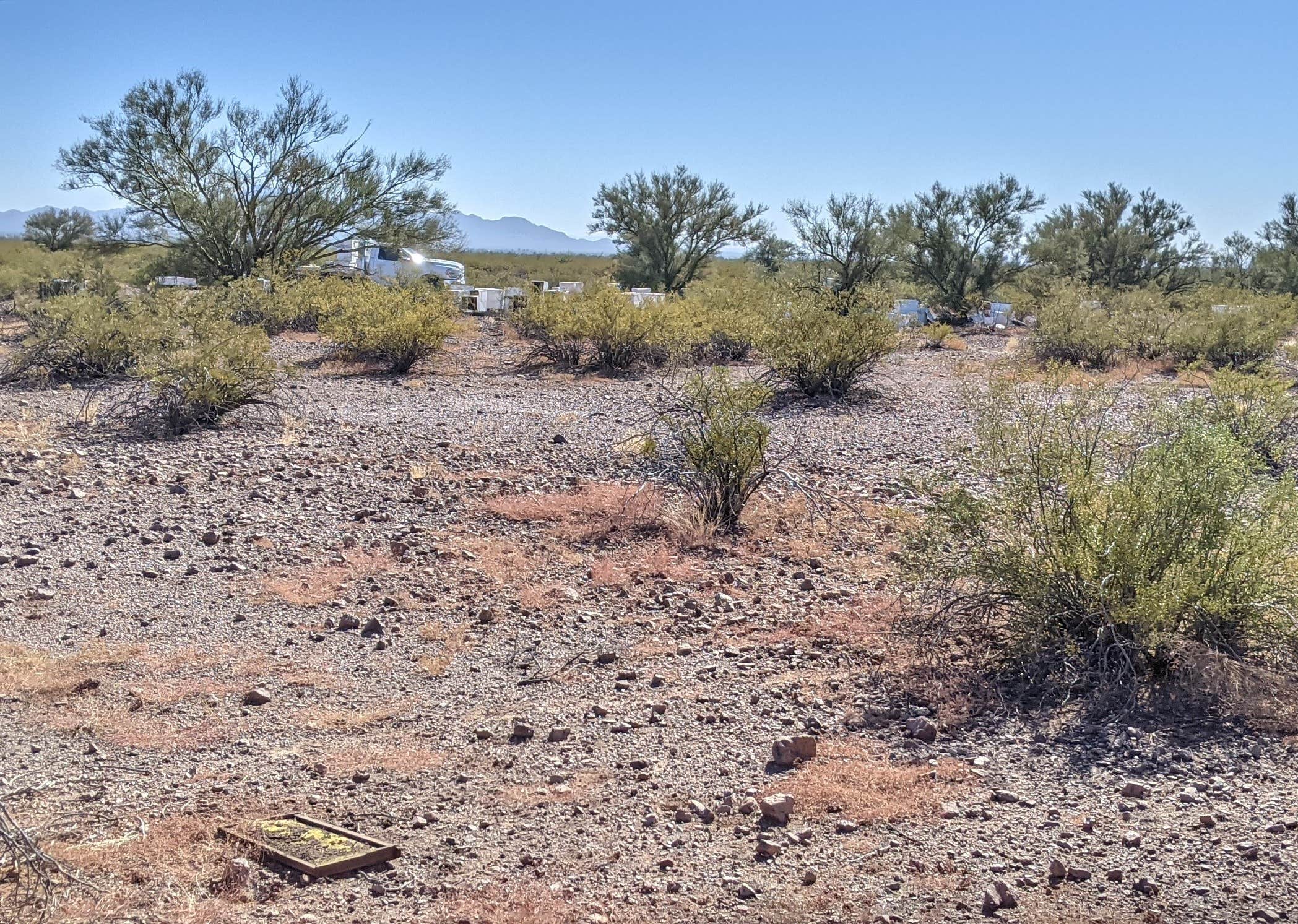 Camper-submitted photo at AZ State Land North Pump Station Road Dispersed near Eloy, AZ