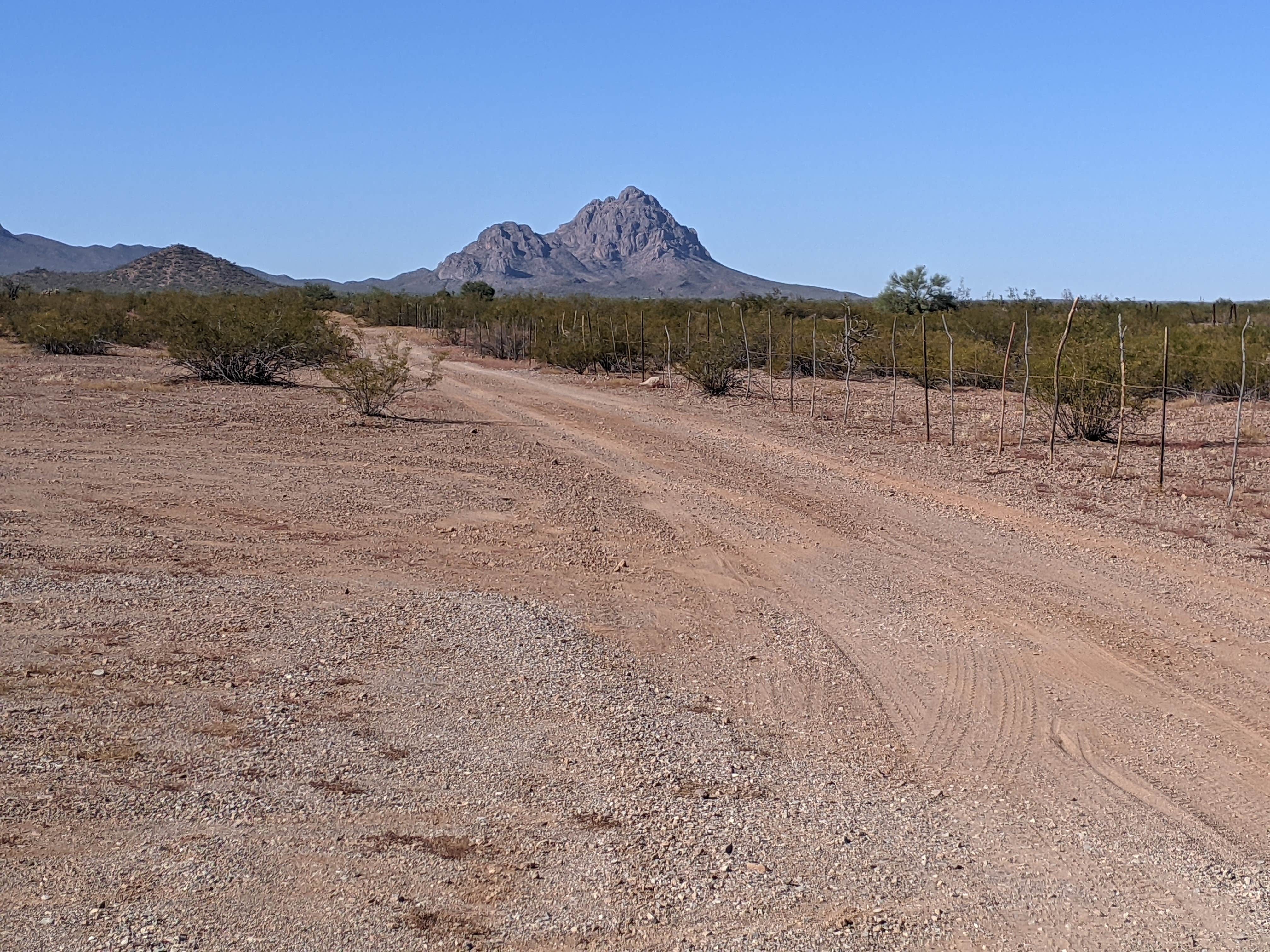 Camper-submitted photo at AZ State Land North Pump Station Road Dispersed near Eloy, AZ